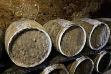 Inspektoři uzavřeli dva vinné sklepy v Mikulově. Sudy byly kompletně zarostlé plísní